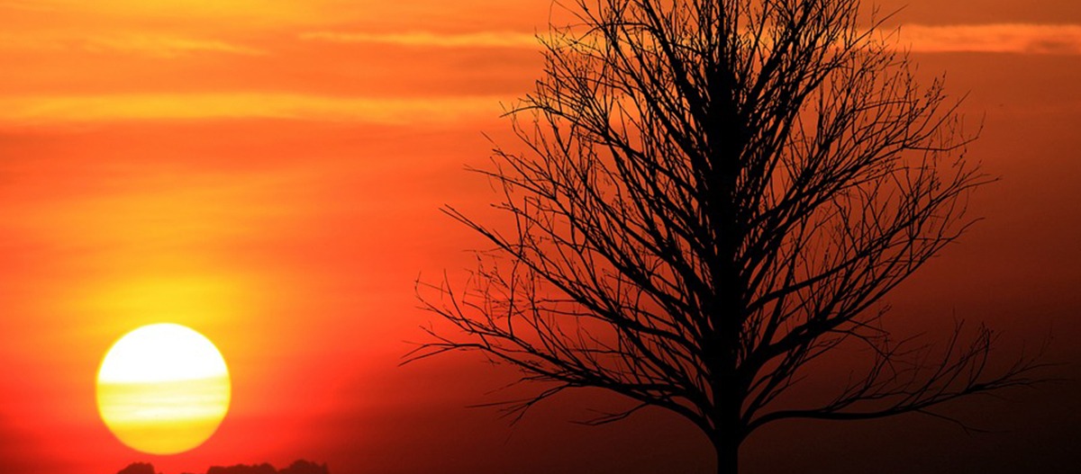 Cores do Sol e Lua Revelam Problemas Ambientais