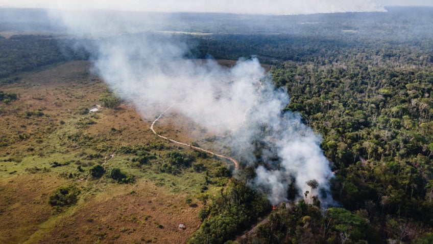 O Impacto das Queimadas e da Seca no Brasil: Aumento dos Preços dos Alimentos